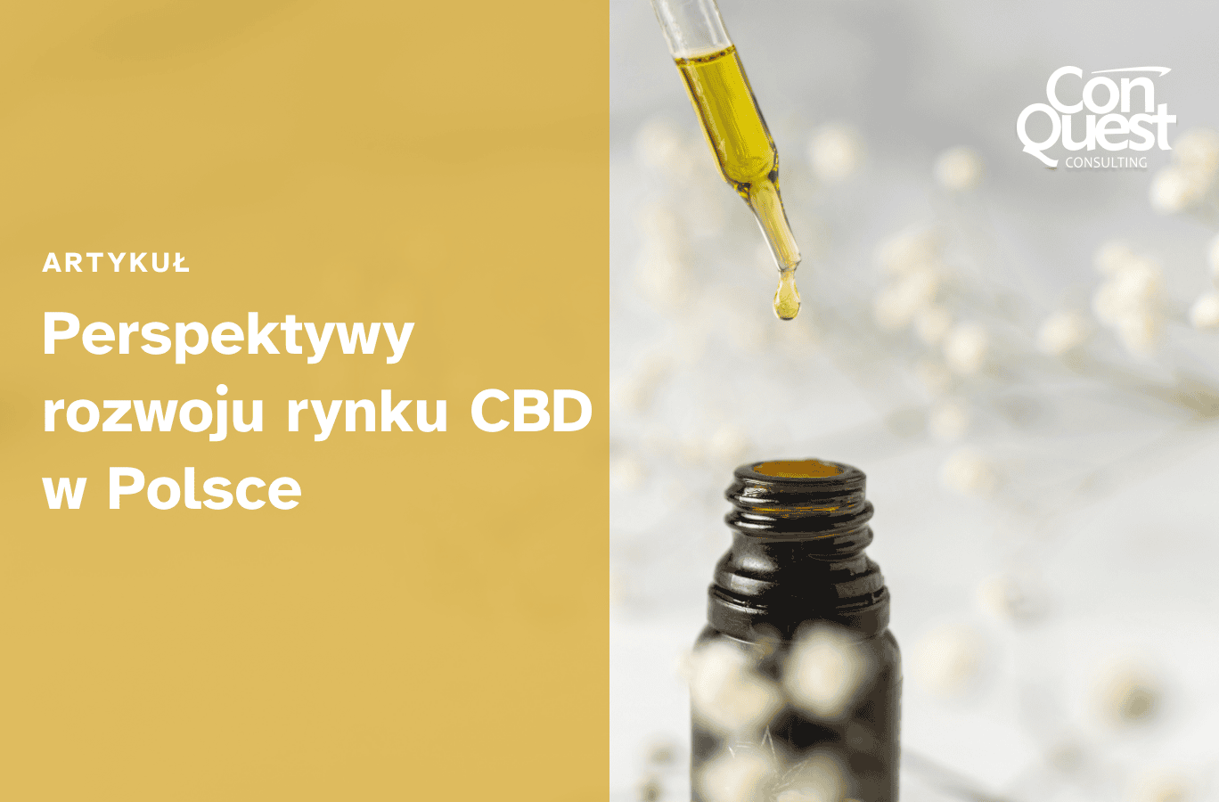 okładka artykułu - Perspektywy rozwoju rynku CBD w Polsce