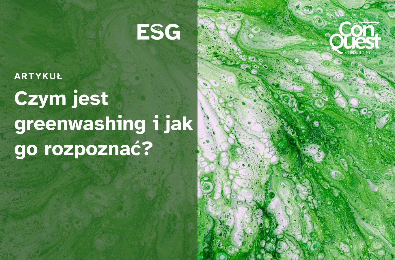 Article Cover: 'What is greenwashing and how to spot it?'