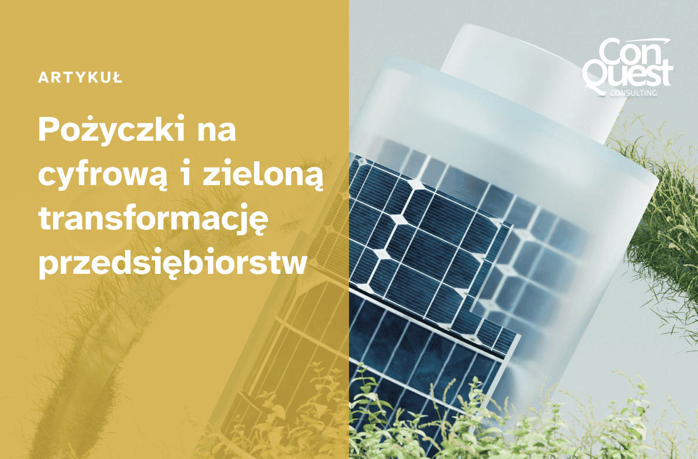 Okładka artykułu "Pożyczki na cyfrową i zieloną transformację przedsiębiorstw"