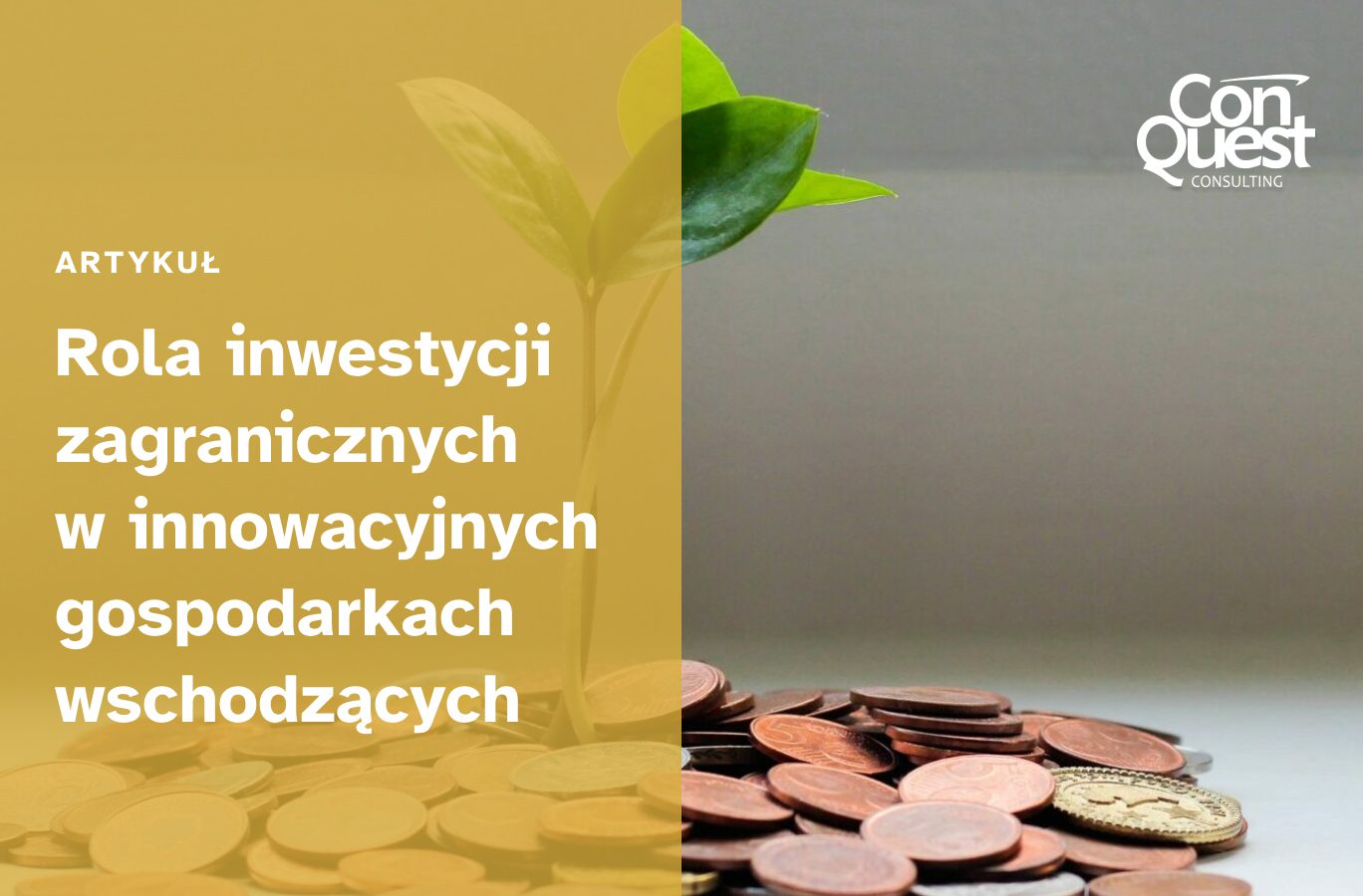 Article cover - The Role of Foreign Investment in Innovative Emerging Economies